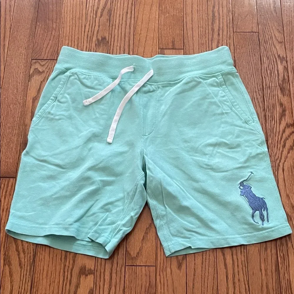 Polo Ralph Lauren Big Pony Mint Green Sz Small